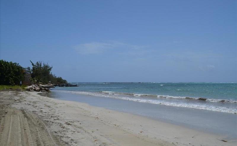 Ocho Rios Under The Palms Villa Exterior photo